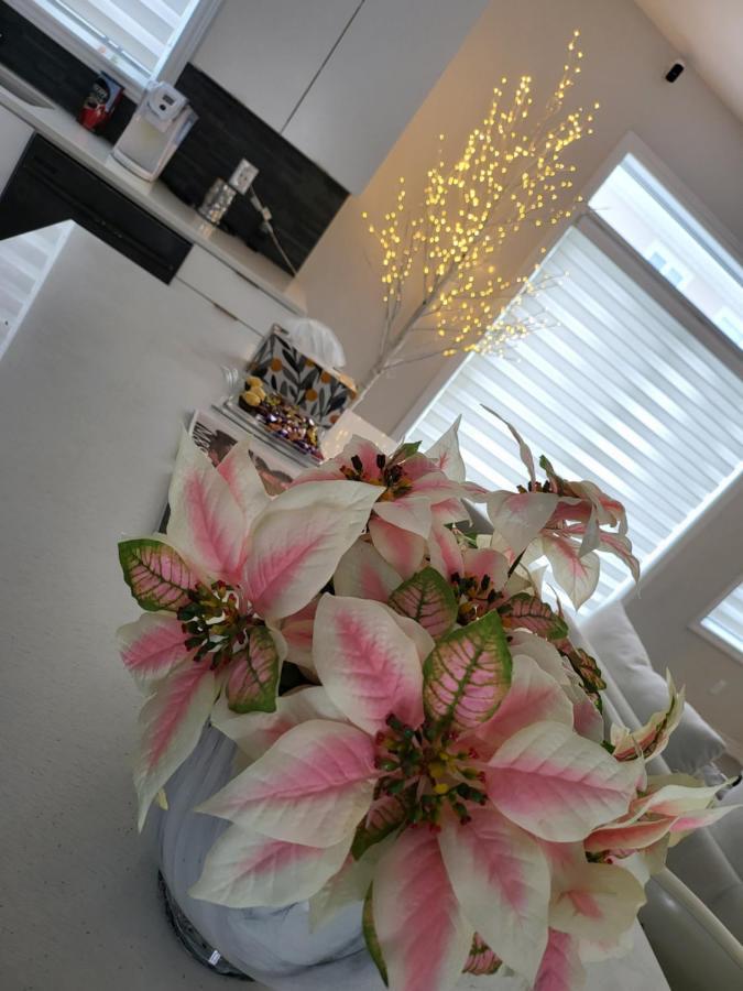 Bliss-Home Ottawa Buitenkant foto